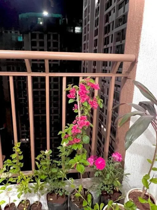 Image 5 of hillview comfy flat in Dahisar